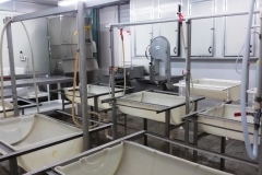 fpc-processing