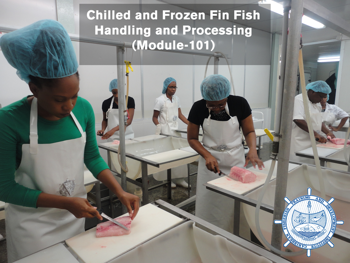 Fish Handling and Processing - Caribbean Fisheries Training and Development  Institute