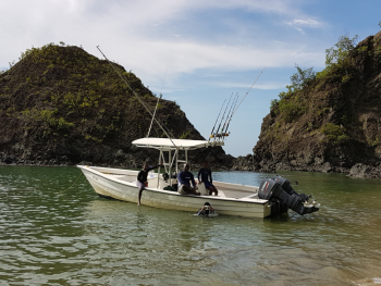 {{brizy_dc_image_alt entityId=